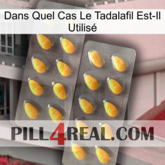 Dans Quel Cas Le Tadalafil Est-Il Utilisé cialis2